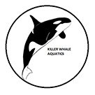 Killer Whale Aquatics